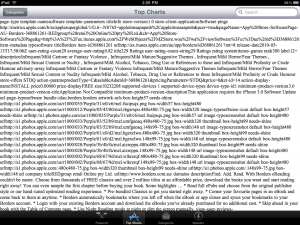 the iPad 3.2 appstore crashed